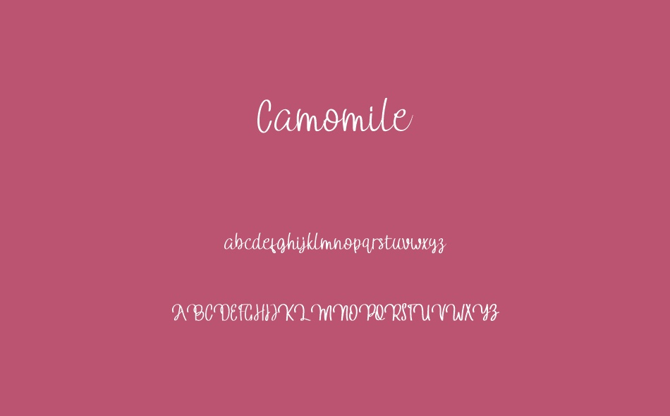 Camomile font