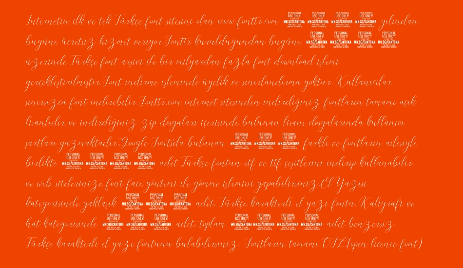 cantona-script font 1