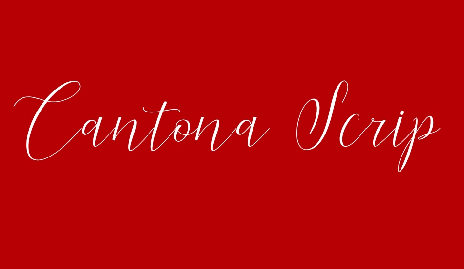 cantona-script font big