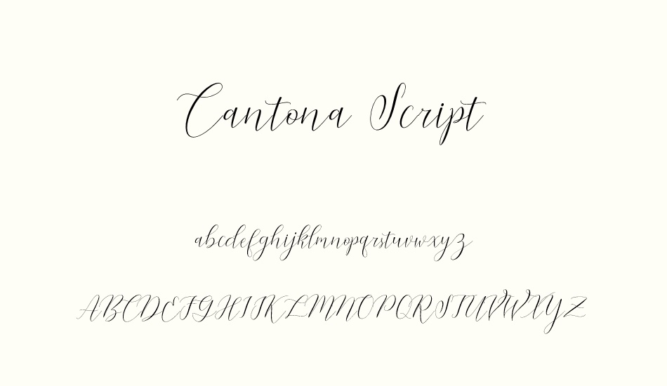 cantona-script font