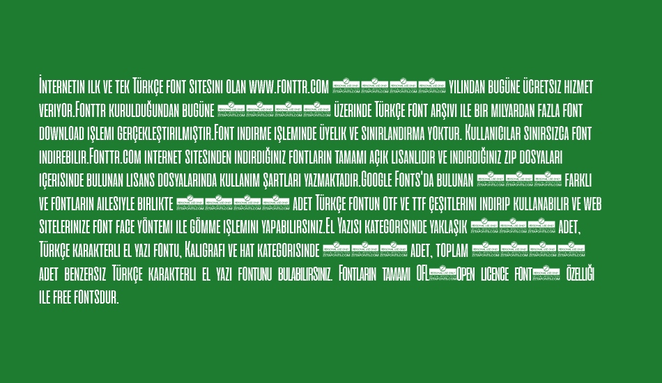 cinematografica font 1