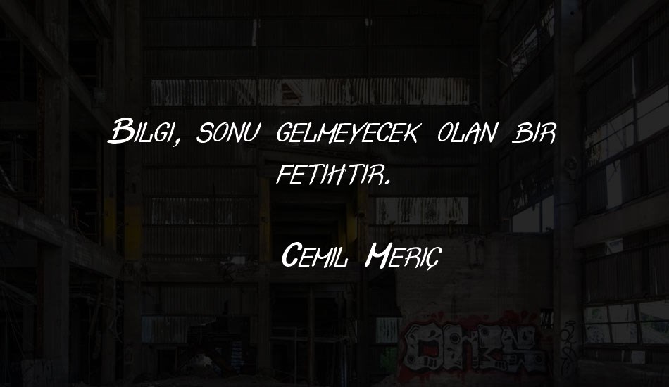 crash--test-ıtalic font text