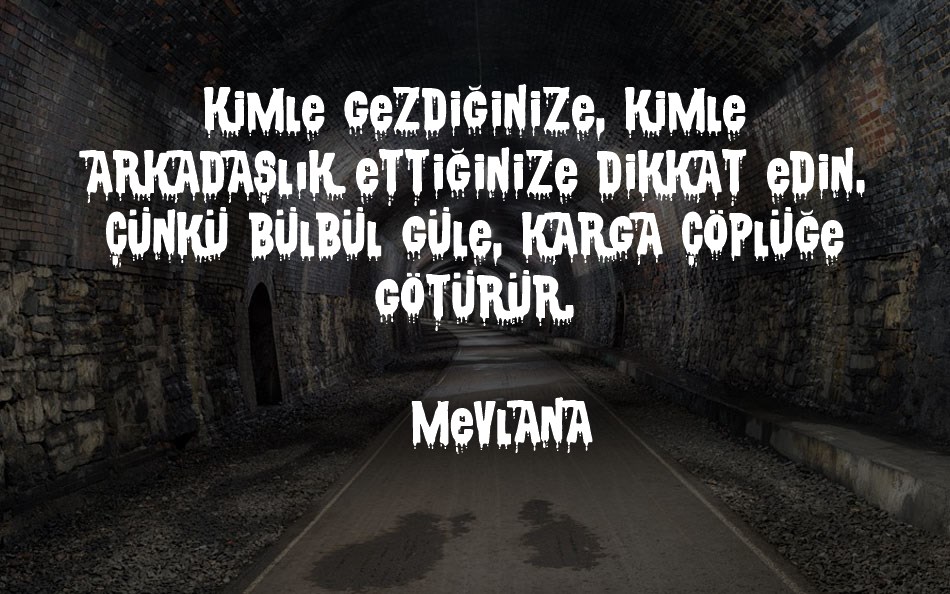 csnpwdt-nfı font text