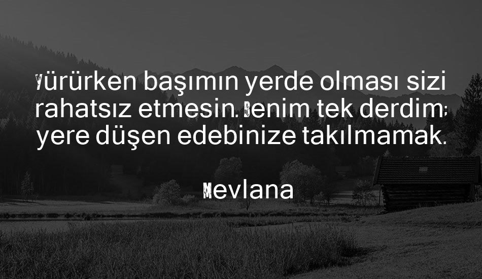 do-not-dısturb font text