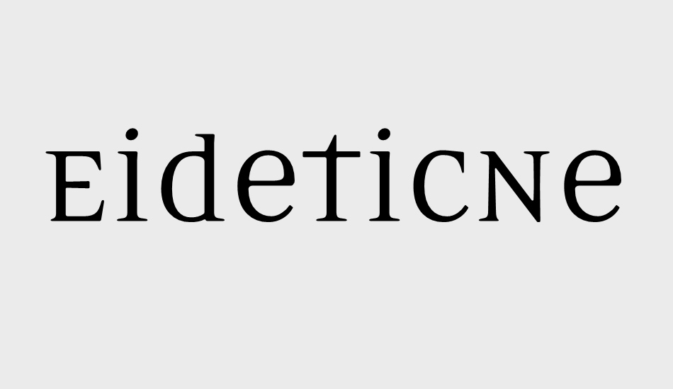 eideticneoomni font big