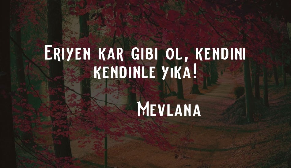 elderweıss font text