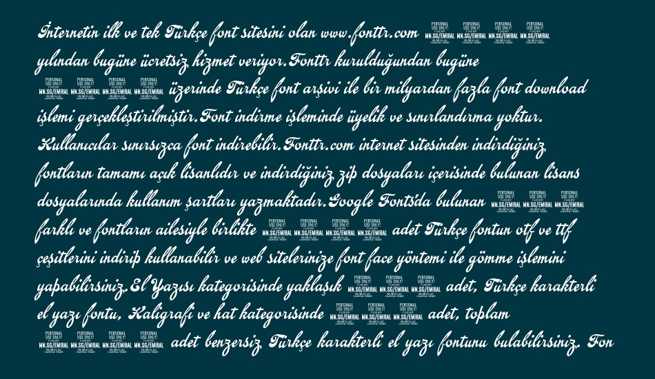 emiral-script-personal-use font 1