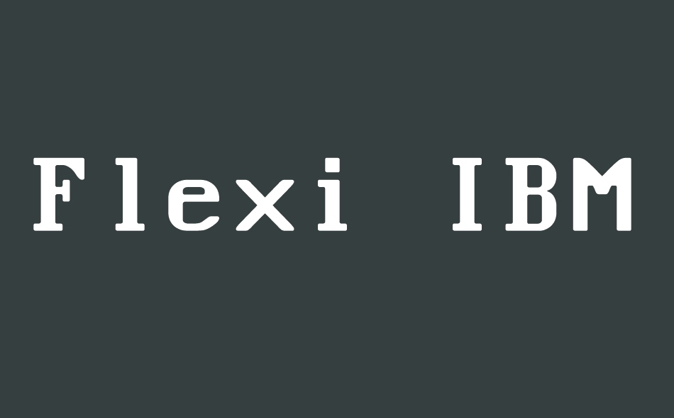 Flexi IBM VGA False font big