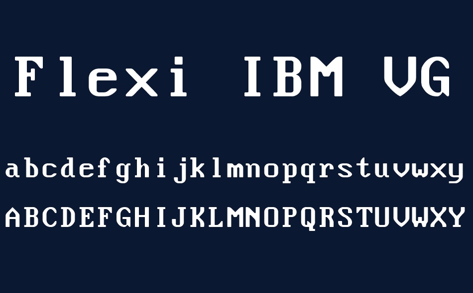 Flexi IBM VGA False font