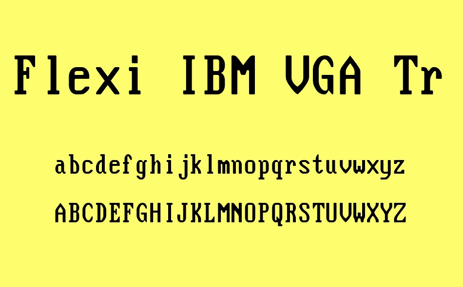 Flexi IBM VGA True font