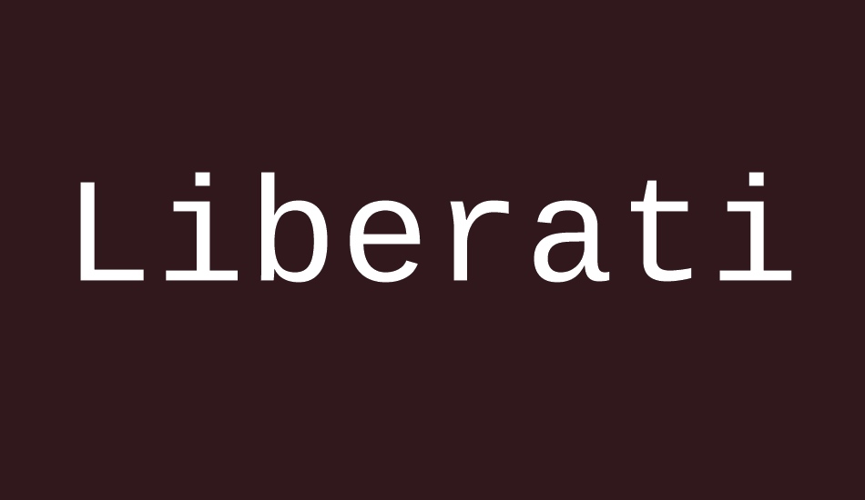 liberation-mono font big