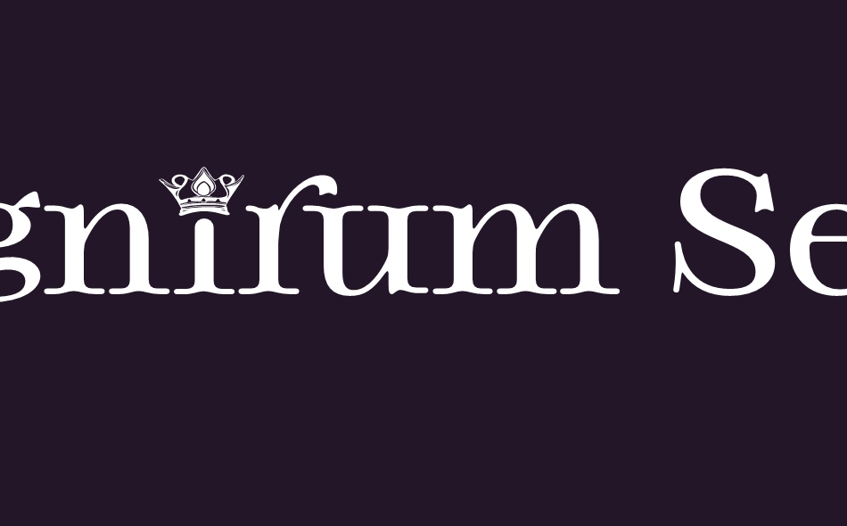 Magnirum Serif font big