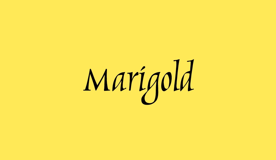 marigold font big