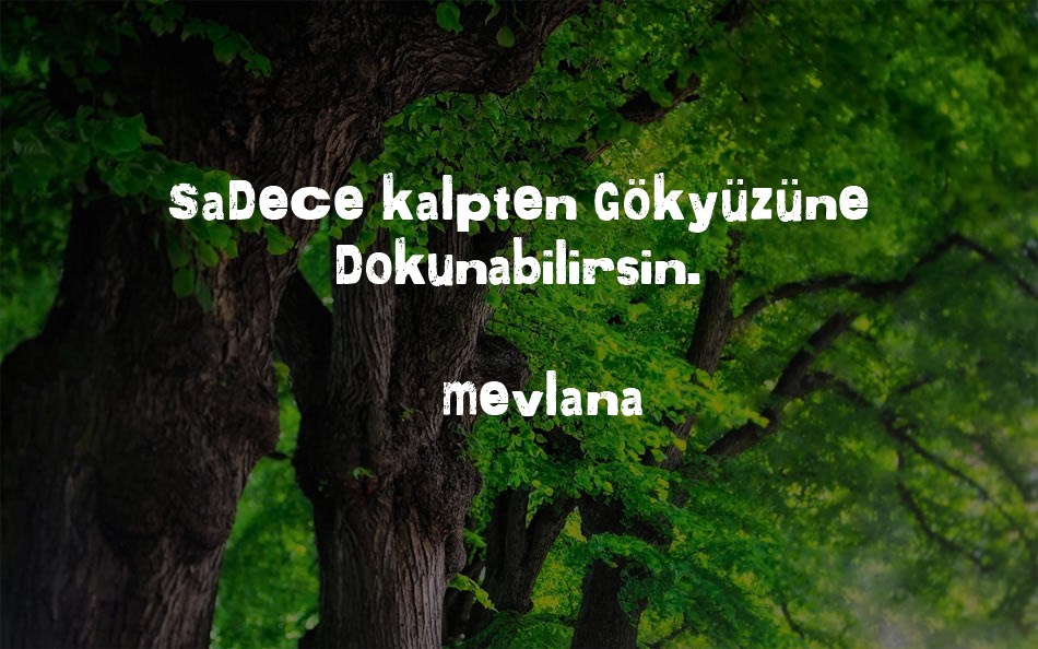 more-than-enough font text