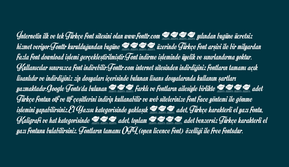 motion-picture-personal-use- font 1
