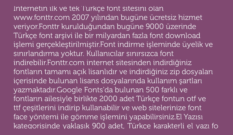 museo-300 font 1