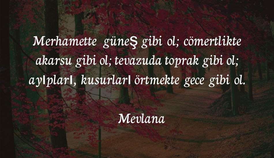 neuton-cursive font text
