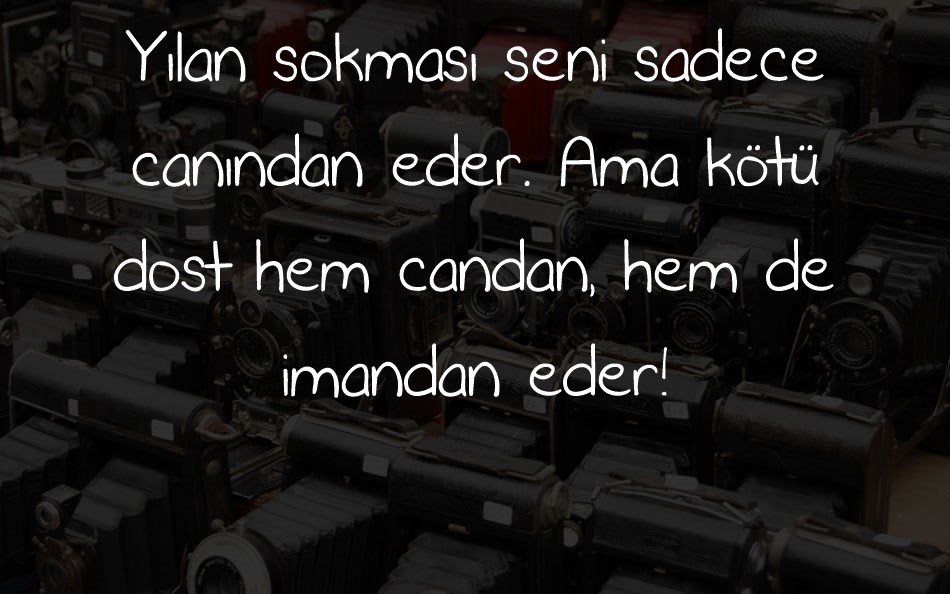 never-say-never font text