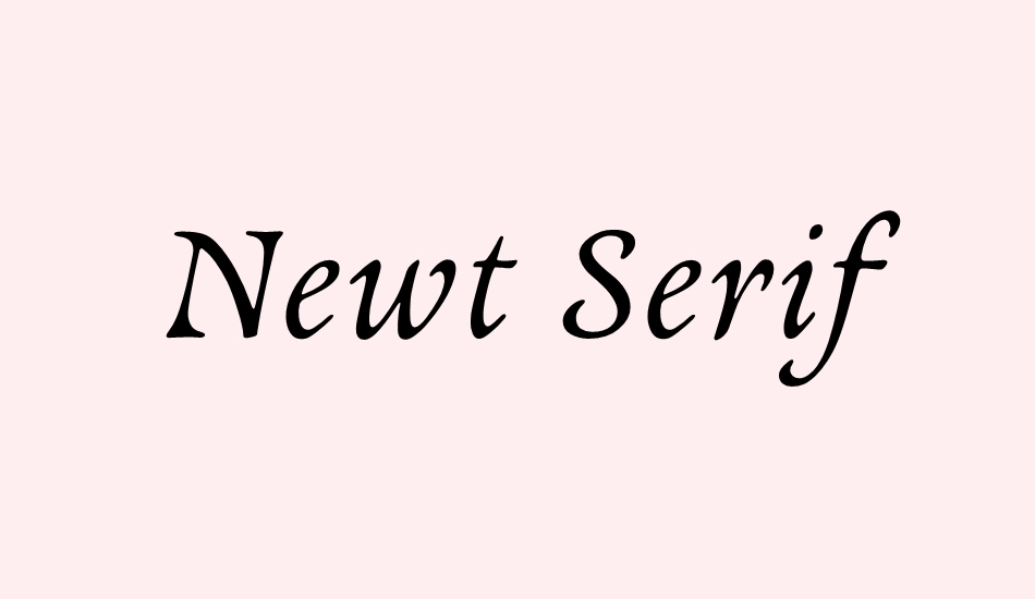 newt-serif font big