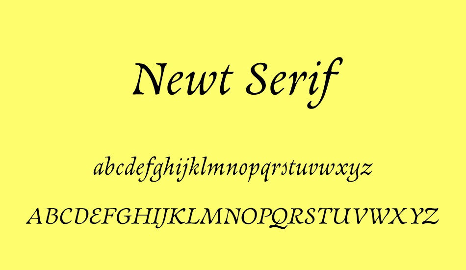 newt-serif font