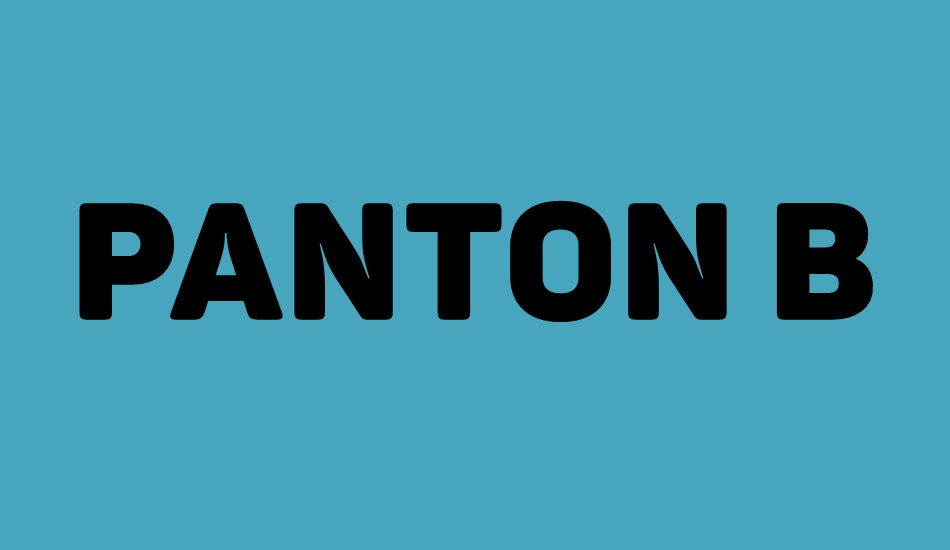 panton-black-caps font big