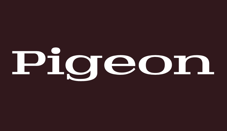 pigeon-personal font big