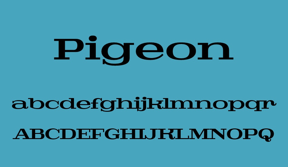 pigeon-personal font