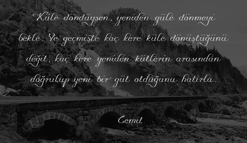 promocyja font text