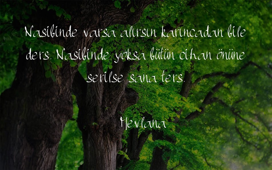 pwhandscript font text