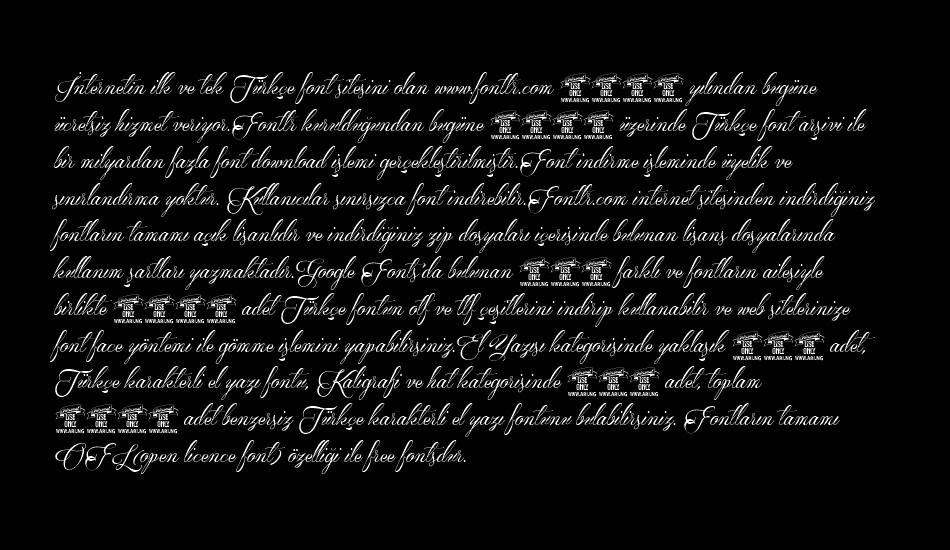 qaskin-black-personal-use font 1