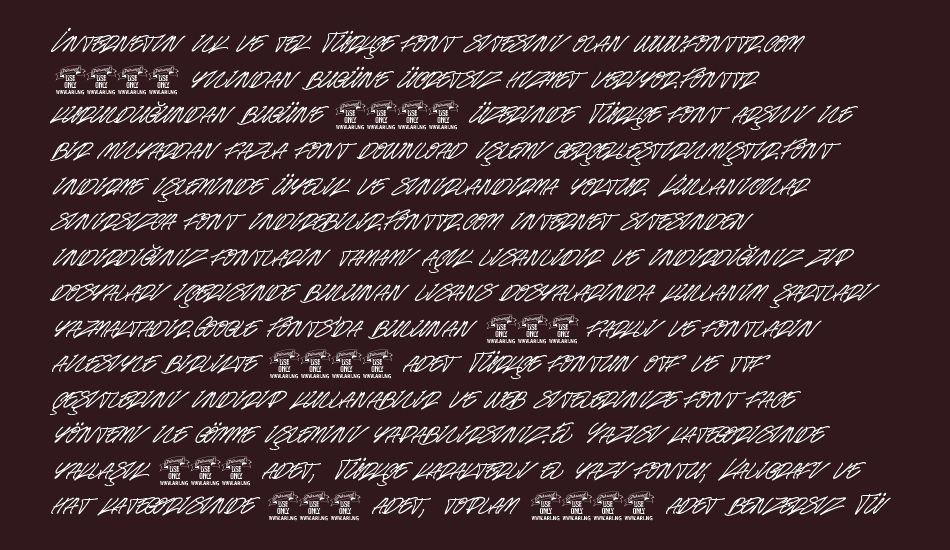 race-fever-pen-personal font 1