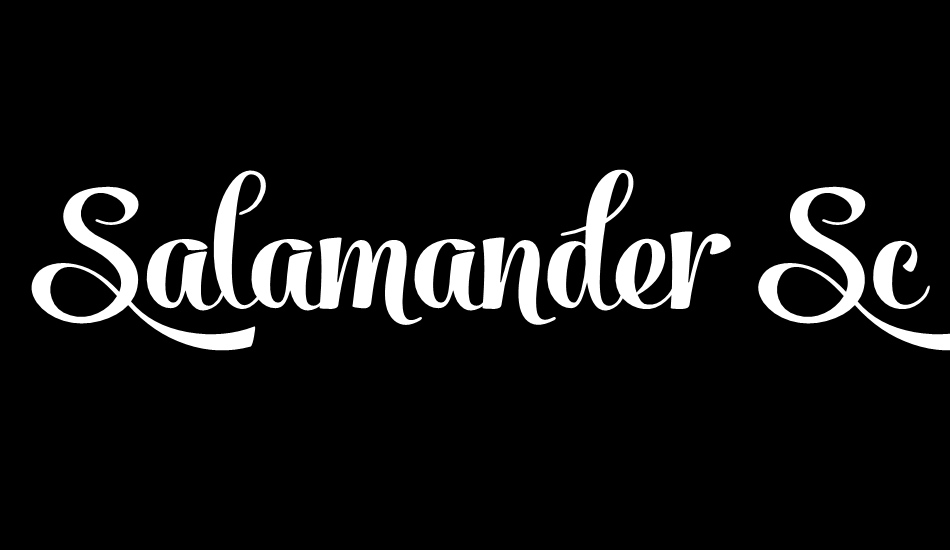 salamander-script font big