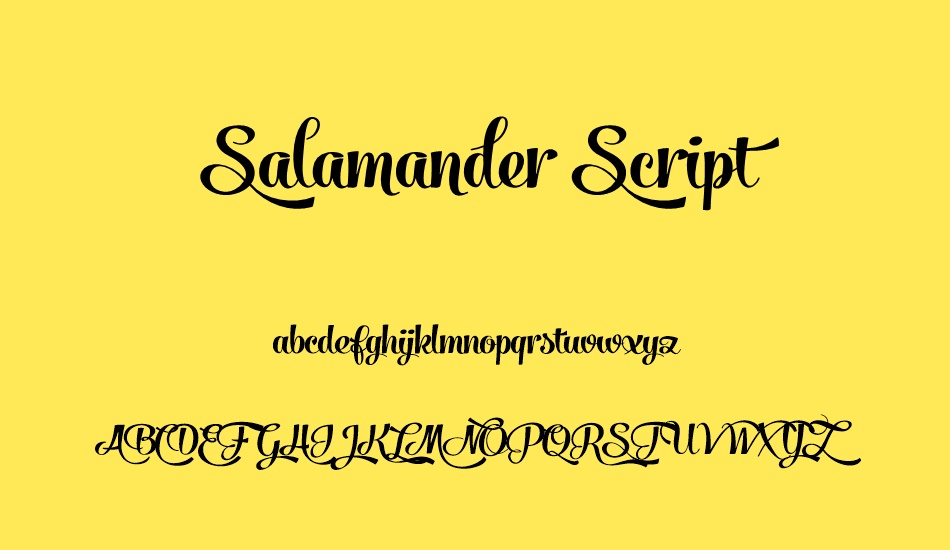 salamander-script font
