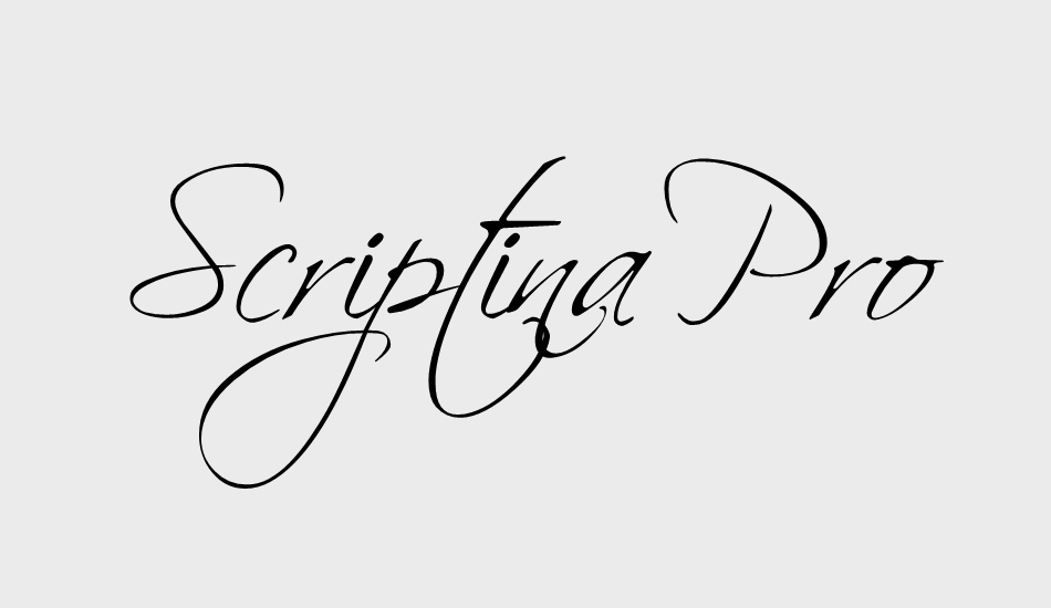 scriptina-pro font big