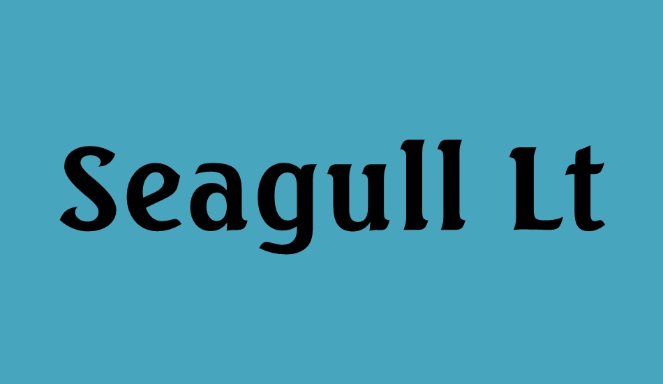 seagull-lt-bt font big