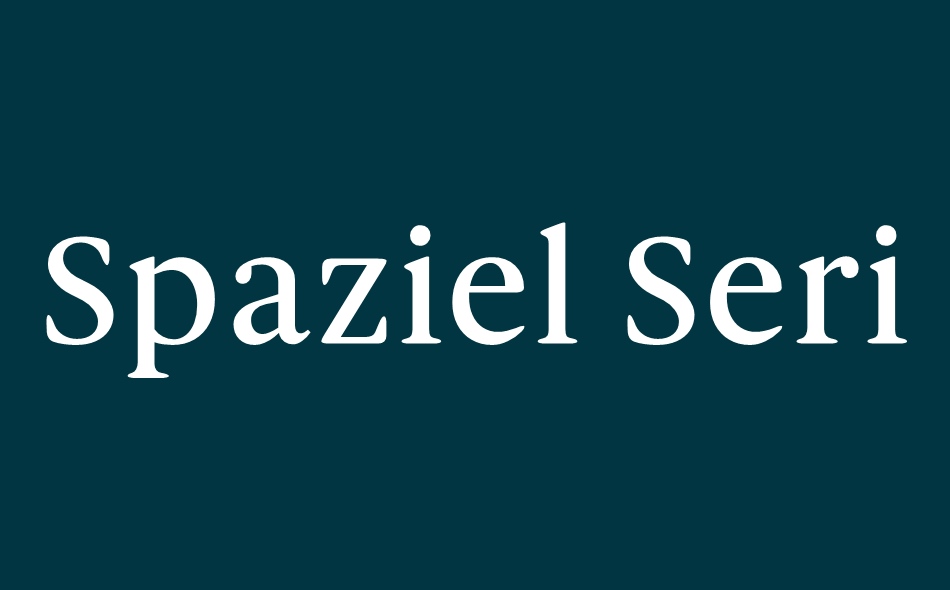 Spaziel Serif font big