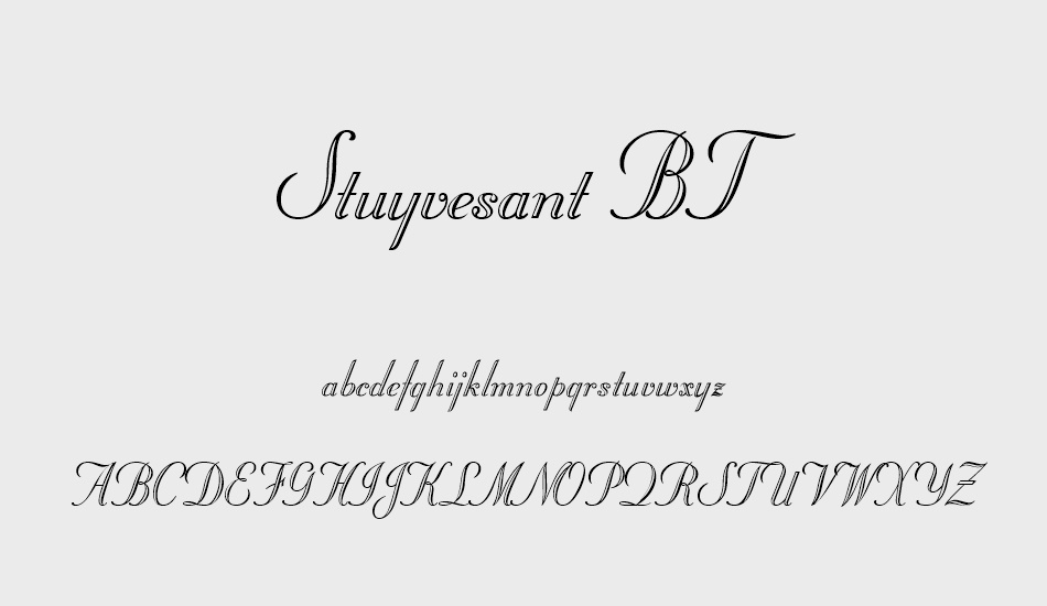 stuyvesant-bt font