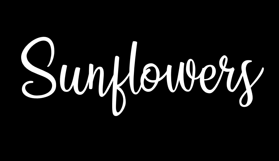 sunflowers font big