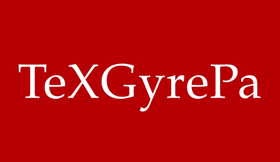 texgyrepagella font big