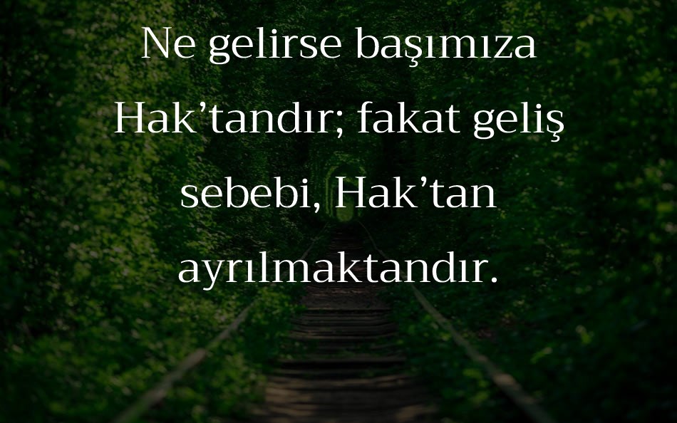 trirong font text