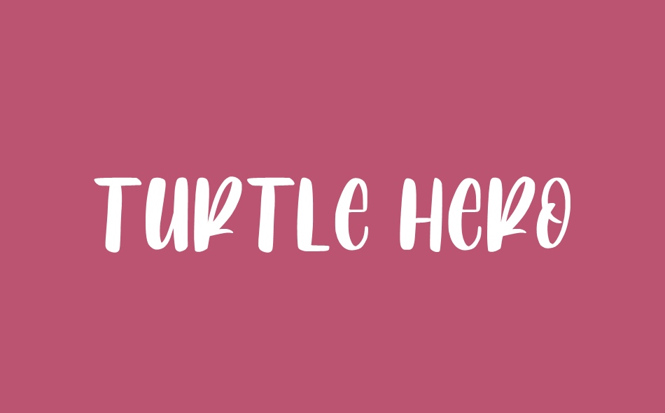 Turtle Hero font big