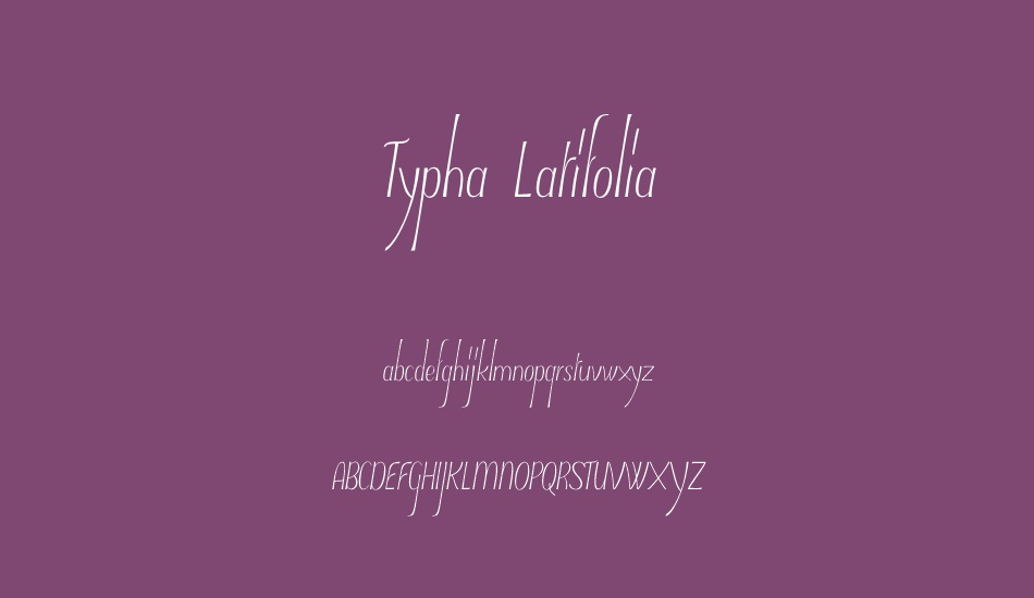 typha-latifolia-demo font