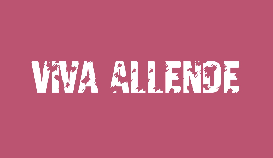 viva-allende font big