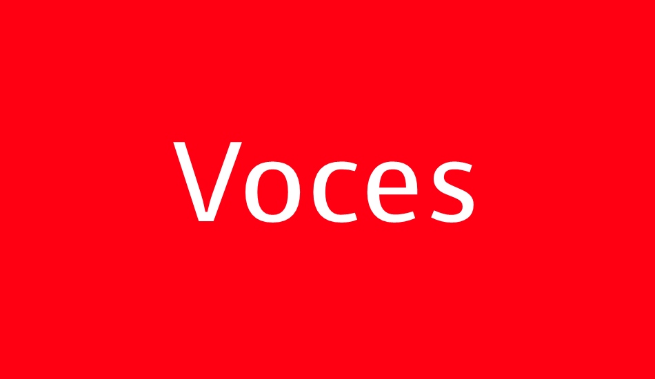 voces font big