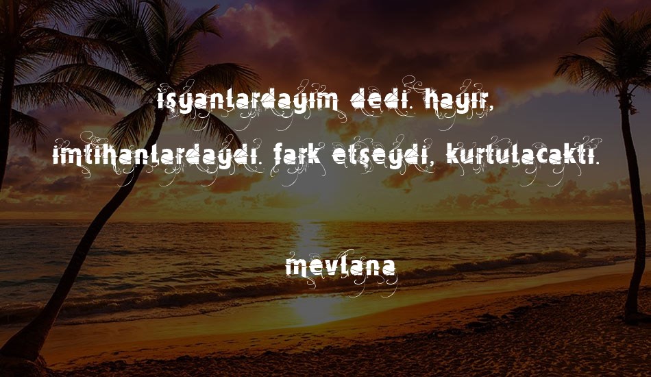 vtks-mercearia font text