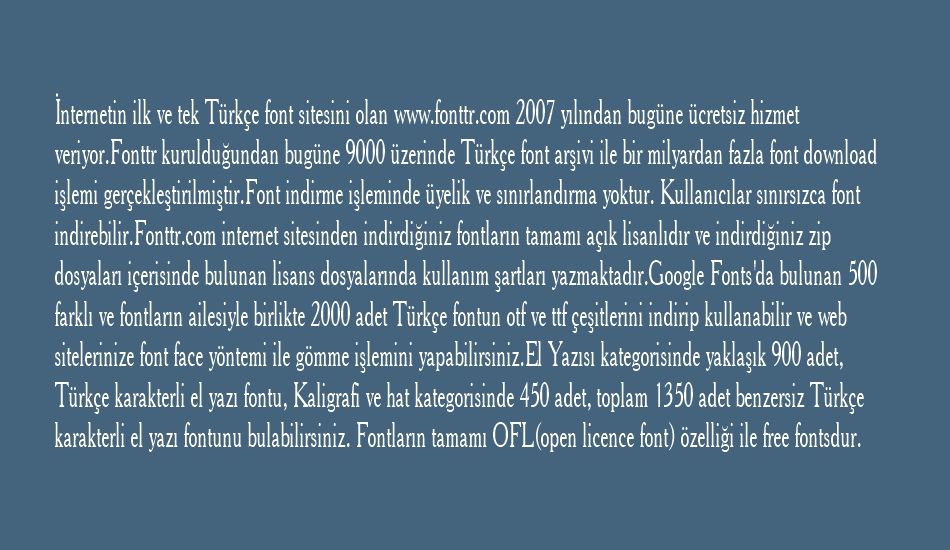 w95f0033 font 1