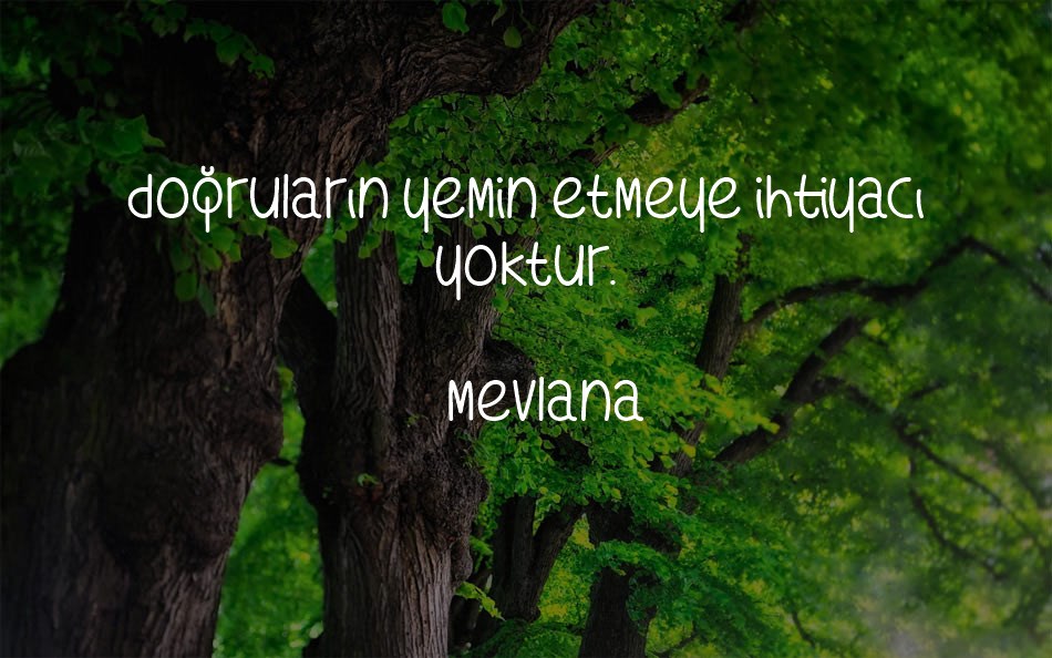 whats-my-age-again font text