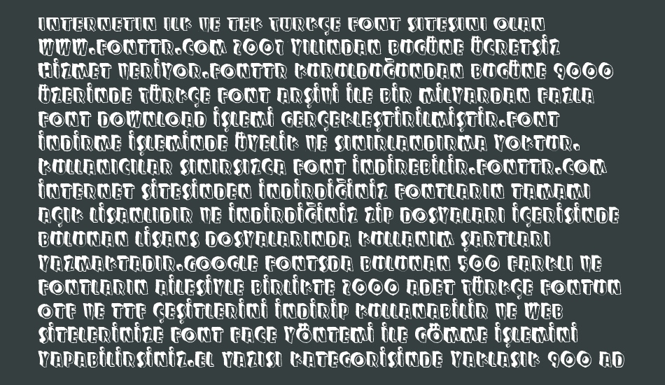 zupagargonizer-t font 1