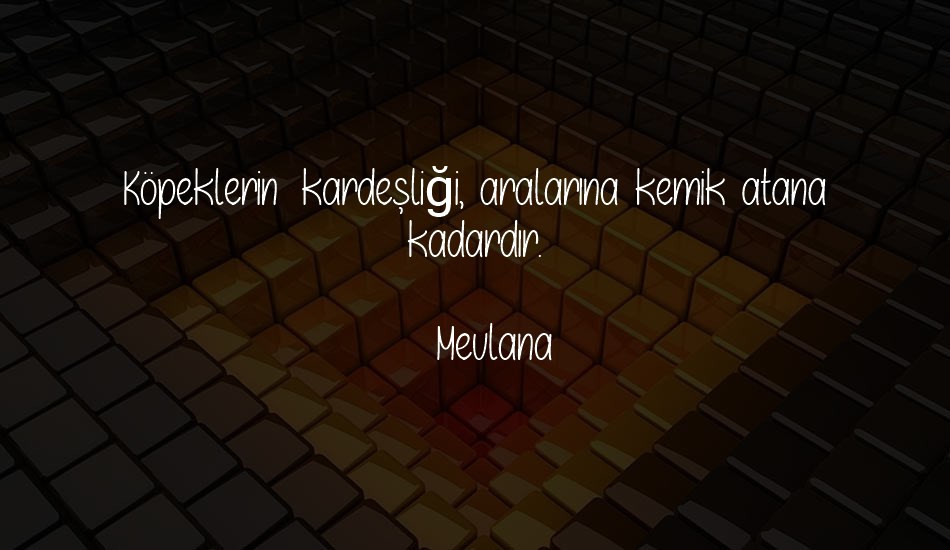 ıf-only font text