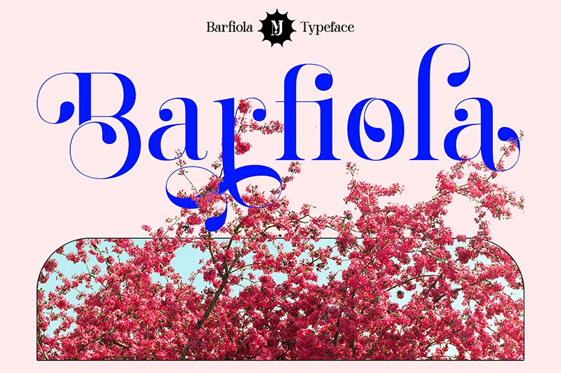 Barfiola